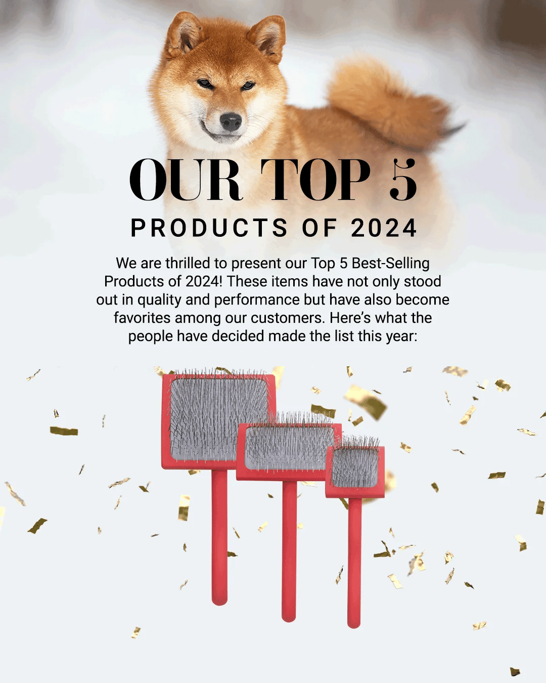 Top Products of 2024