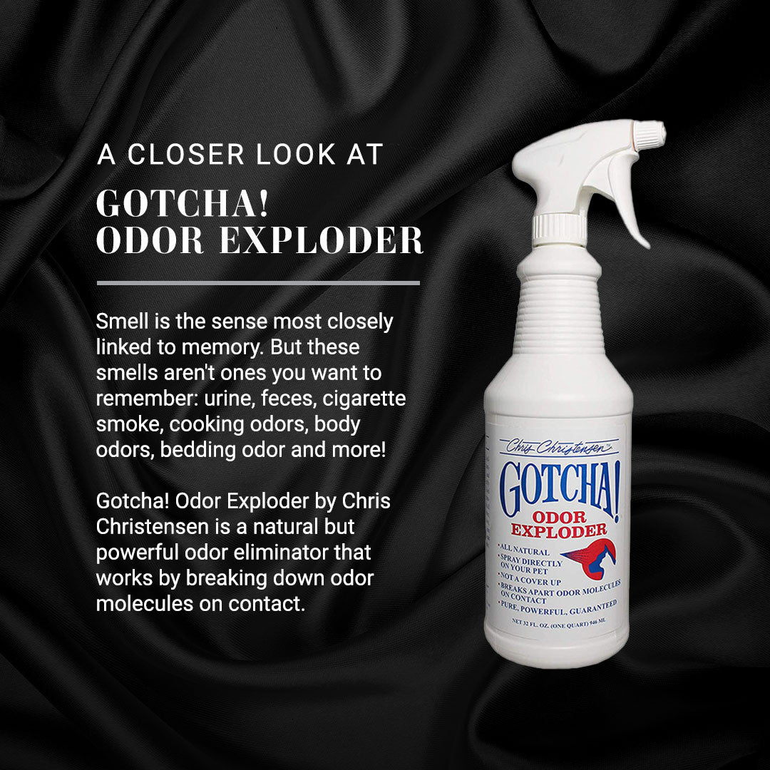 A CLOSER LOOK AT GOTCHA! ODOR EXPLODER: Smell is the sense most closely linked to memory. But these smells aren't ones you want to remember: urine, feces, cigarette smoke, cooking odors, body odors, bedding odor and more! Gotcha! Odor Exploder by Chris Christensen is a natural but powerful odor eliminator that works by breaking down odor molecules on contact.