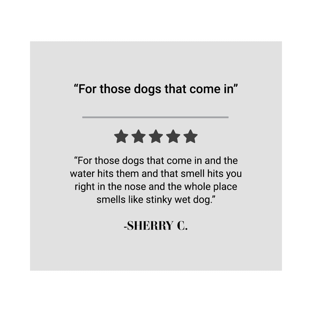 "For those dogs that come in" "For those dogs that come in and the water hits them and that smell hits you right in the nose and the whole place smells like stinky wet dog." - Sherry C.