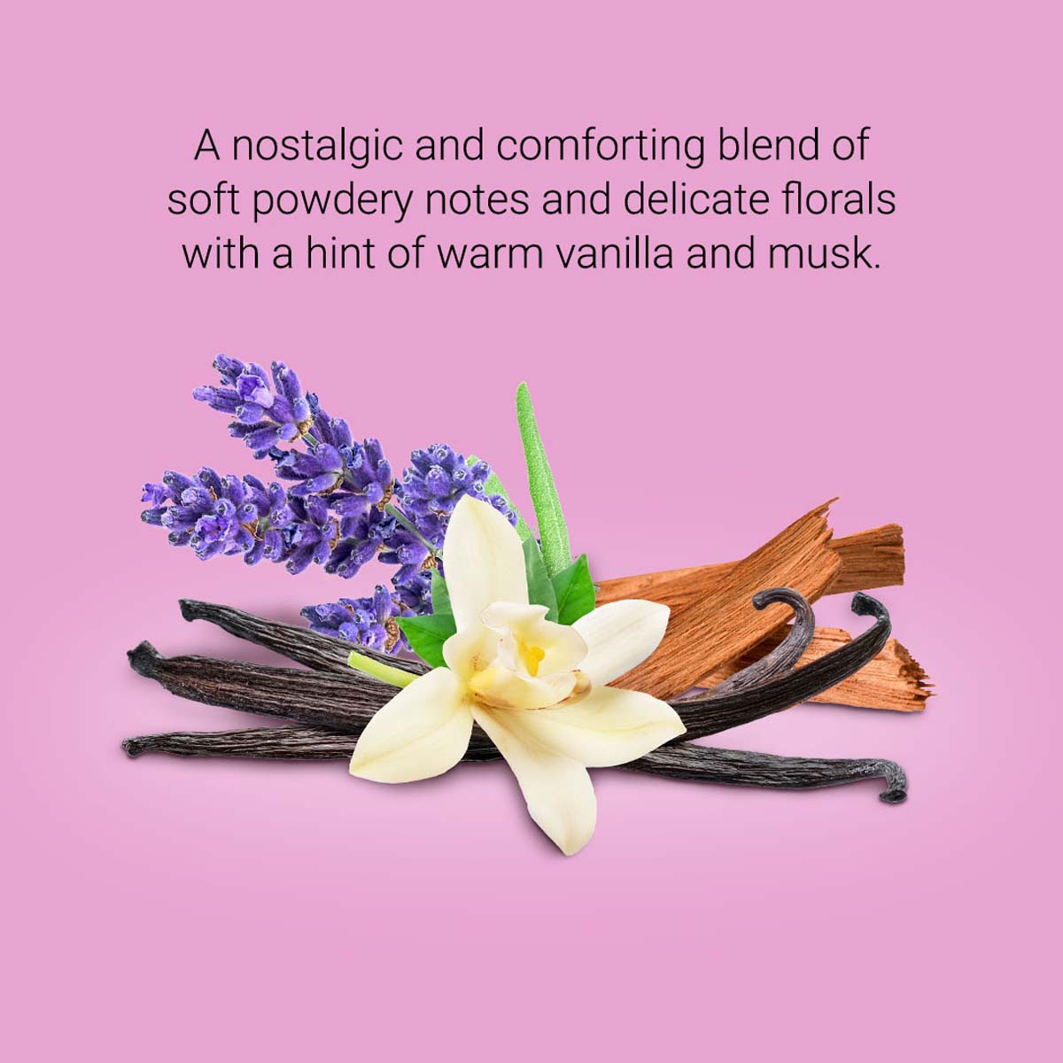 A nostalgic and comforting blend of soft powdery notes and delicate florals with a hint of warm vanilla and musk.