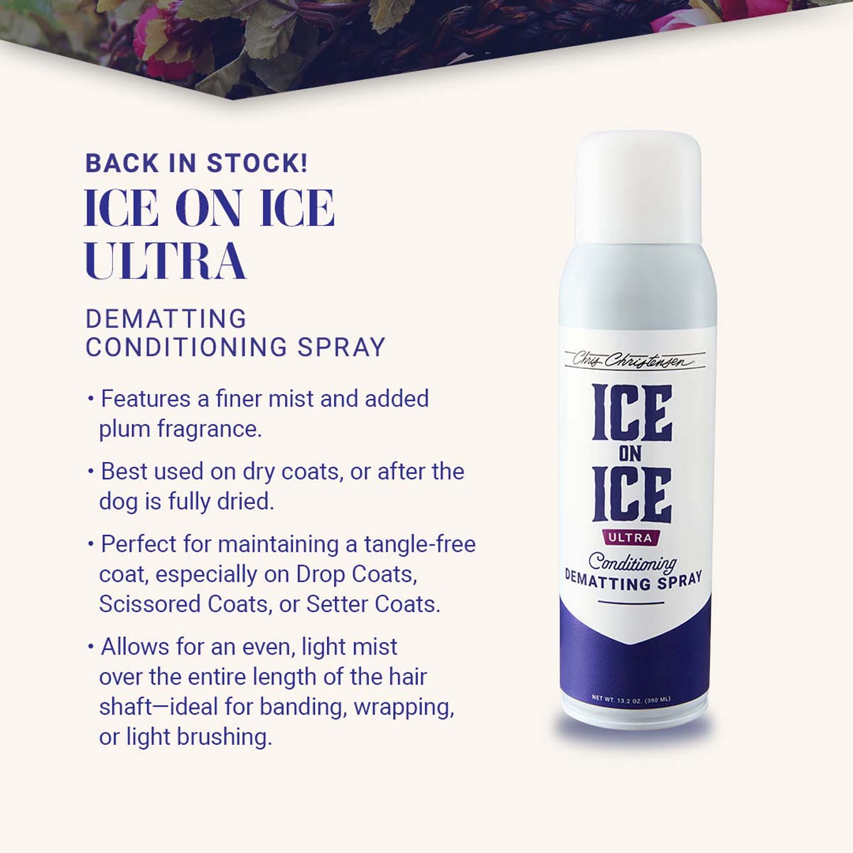 Back in stock! Ice on Ice Ultra Dematting Conditioning Spray. Features a finer mist and added plum fragrance. Best used on dry coats, or after the dog is fully dried. Perfect for maintaining a tangle-free coat, especially on Drop Coats, Scissored Coats, or Setter Coats. Allows for an even, light mist over the entire length of the hair shaft-ideal for banding, wrapping, or light brushing.
