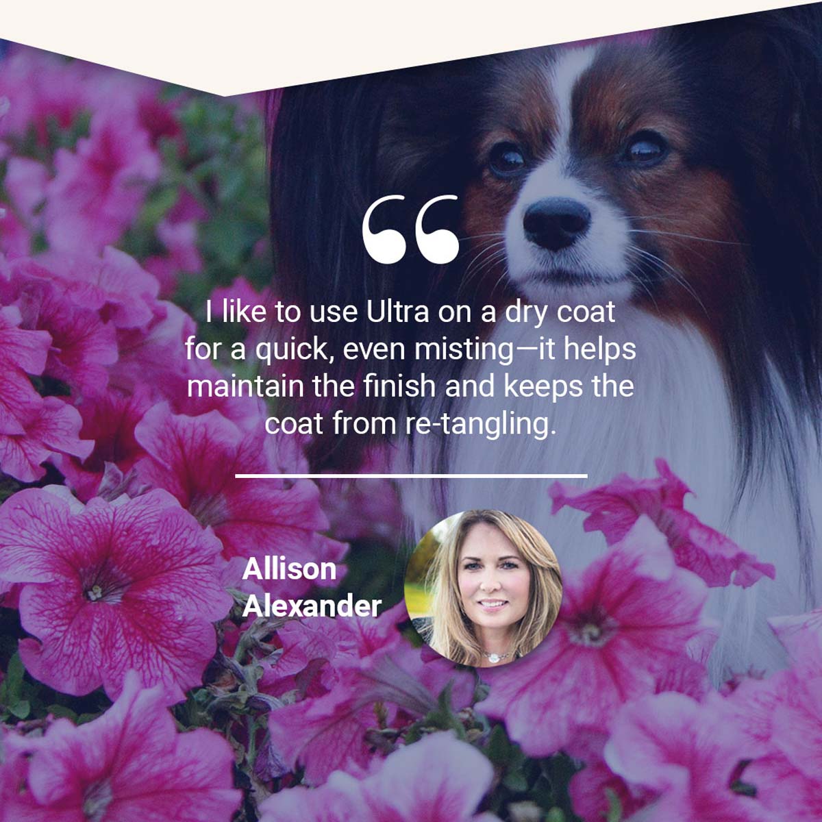 "I like to use Ultra on a dry coat for a quick, even misting-it helps maintain the finish and keeps the coat from re-tangling" -Allison Alexander