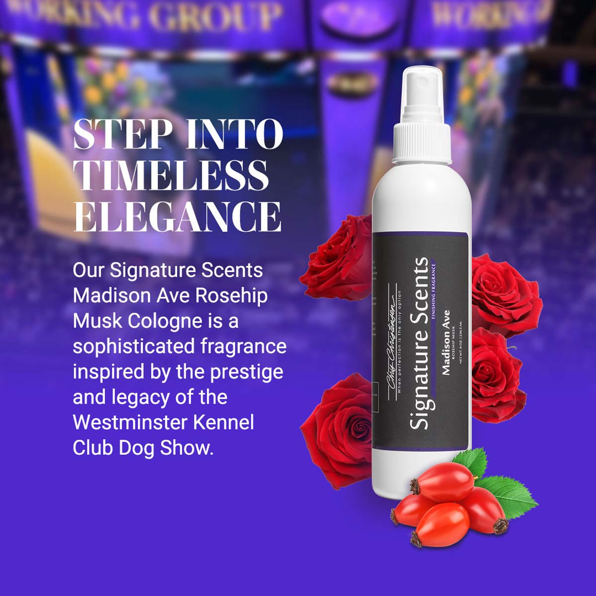 Step into timeless elegance. Our Signature Scents Madison Ave Rose hip Musk Cologne is a sophisticated fragrance inspired by the prestige and legacy of the Westminster Kennel Club Dog Show.
