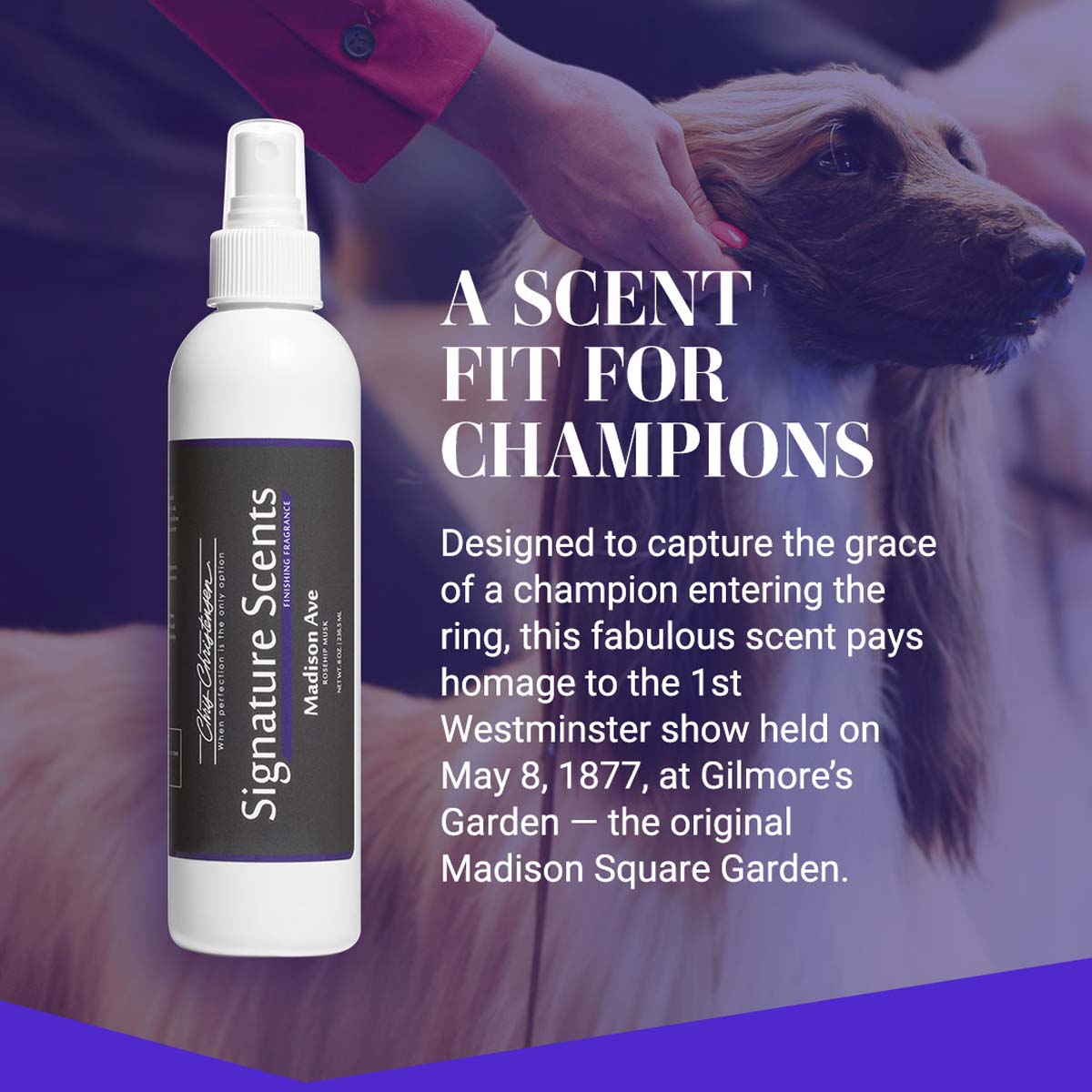A scent fit for champions. Designed to capture the grace of a champion entering the ring, this fabulous scent pays homage to the 1st Westminster show held on May 8, 1877, at Gilmore's Garden - the original Madison Square Garden.