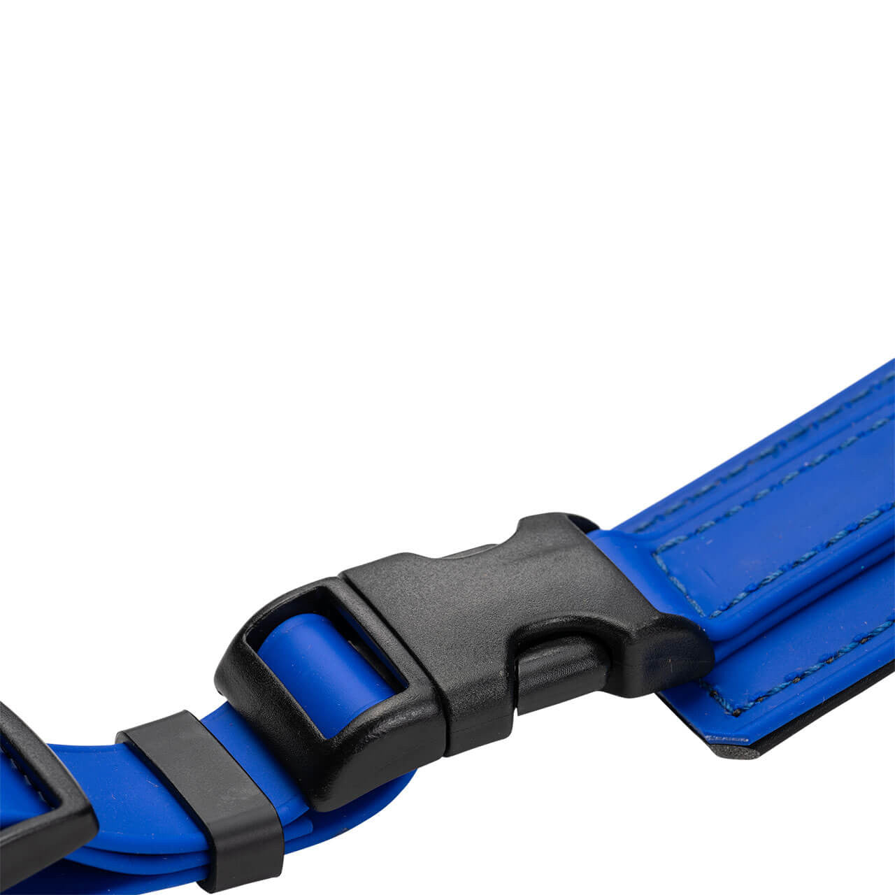 Champagne by Chris Christensen Belly Loops in Royal Blue - Buckle