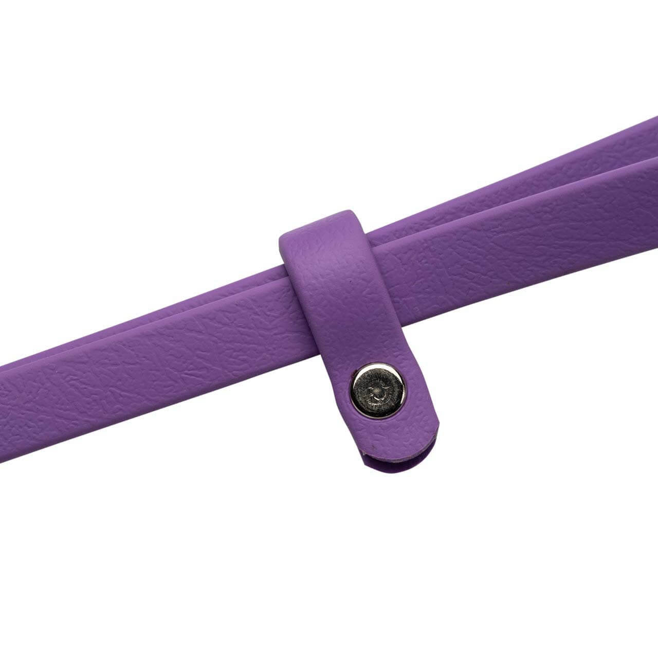 Champagne by Chris Christensen Amethyst Grooming Loop Slider Slider Closeup