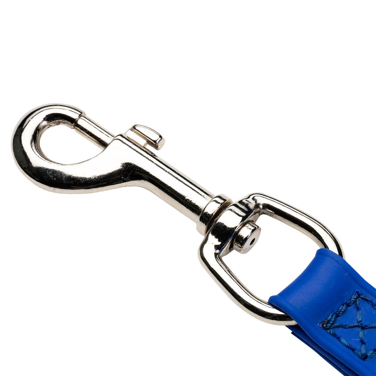 Champagne by Chris Christensen Loop Extender in Royal Blue - Clasp