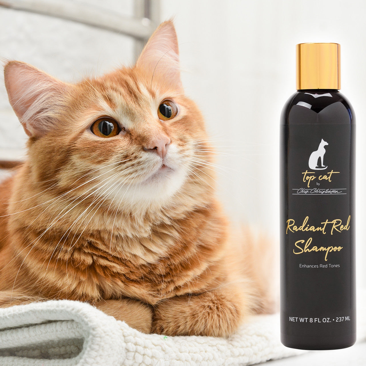 Chris Christensen Top Cat Radiant Red Shampoo
