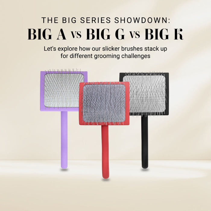 Big G vs. Big K vs. Big A