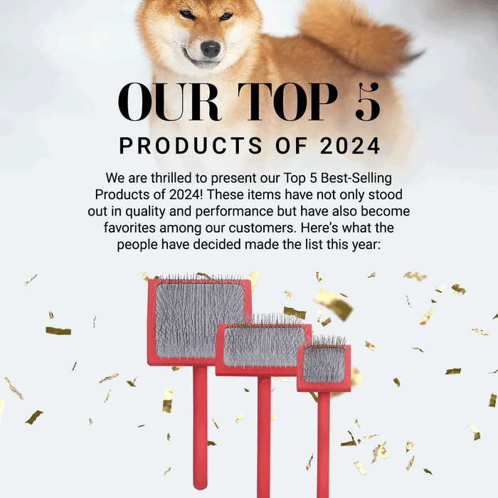 Top Products of 2024