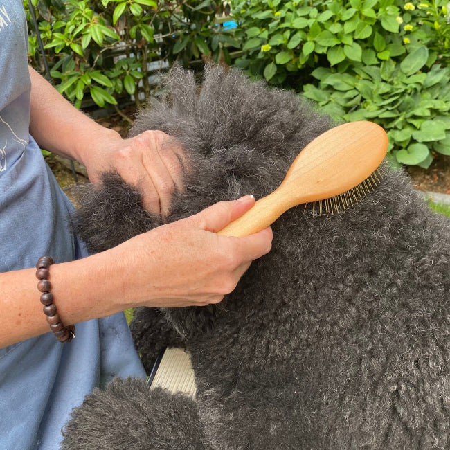 Brush Guide: Pin Brushes