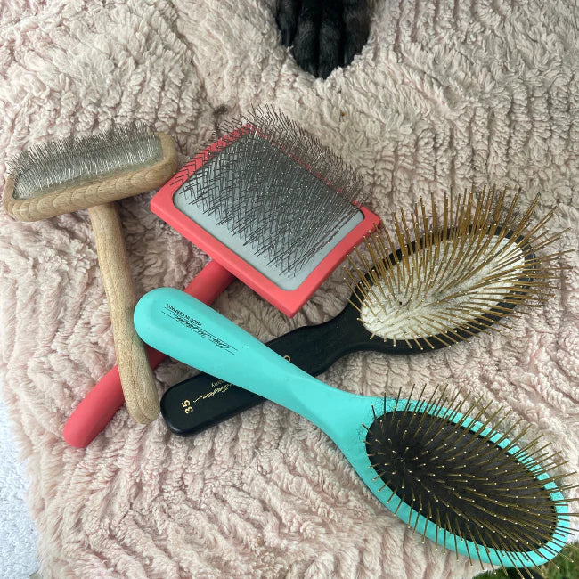 Brush Guide: Specialty Brushes