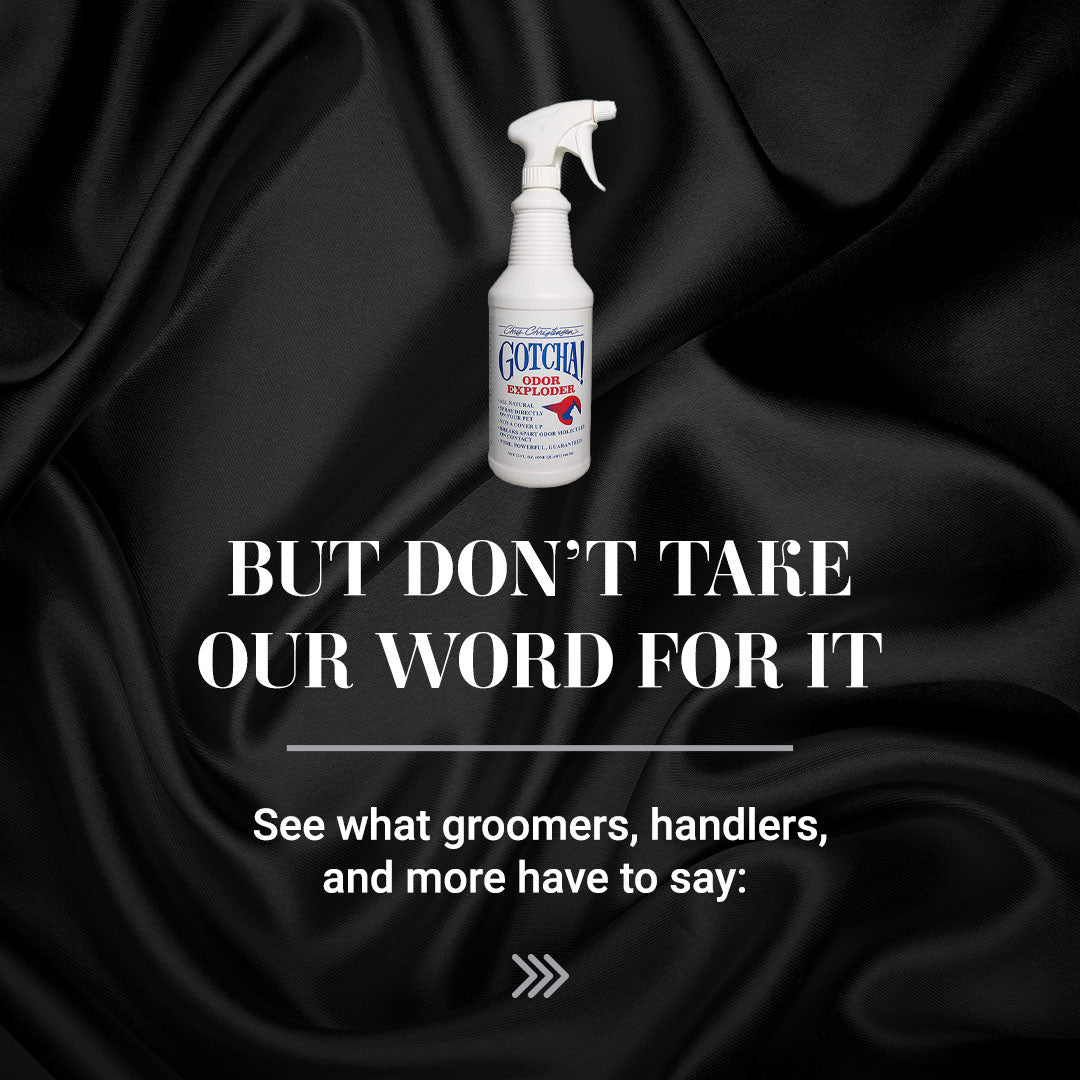 But don't take our word for it, see what groomers, handlers, and more have to say about Chris Christensen Gotcha! Odor Eliminator. 