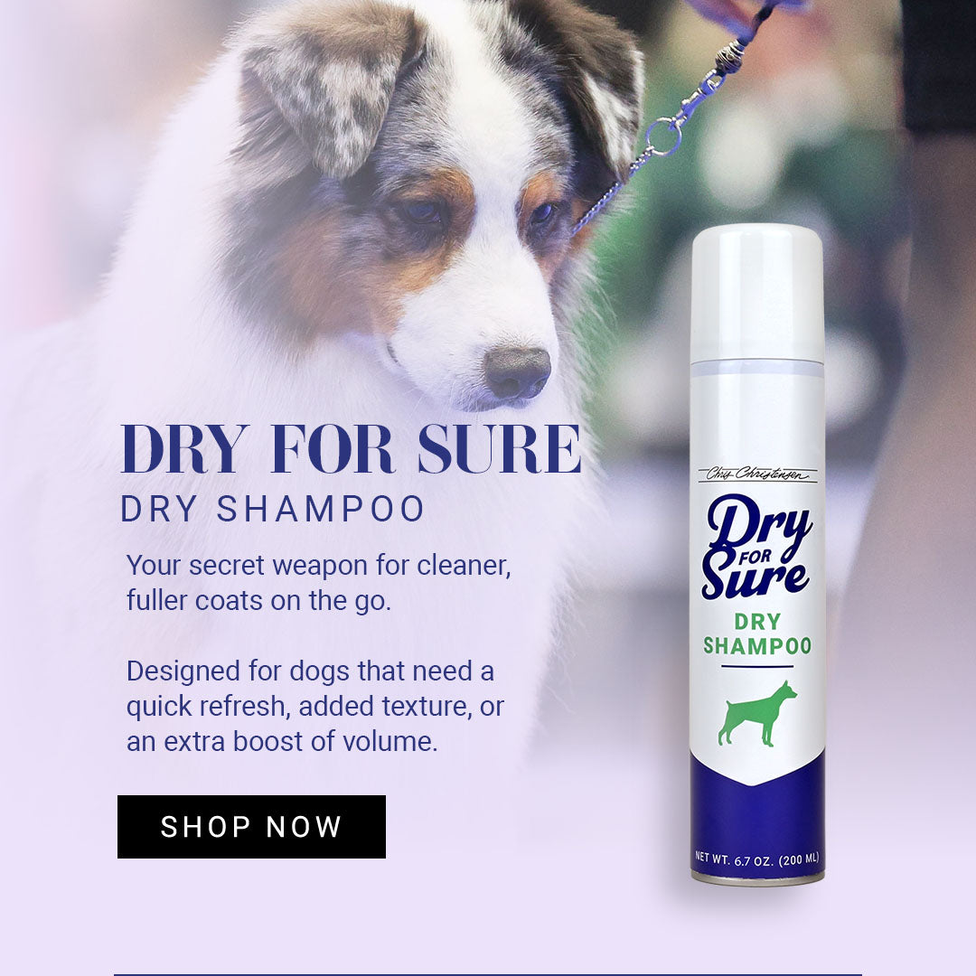 Dry for Sure Spray: Your secret weapon for cleaner, fuller coats on the go. Designed for dogs that need a quick refresh, added texture, or an extra boost of volume. 