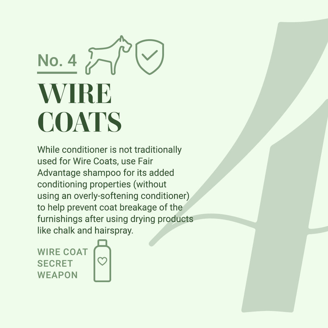 #4: Wire Coats: While conditioner is not traditionally used for Wire Coats, use Fair Advantage shampoo for its added conditioning properties (without using an overly-softening conditioner) to help prevent coat breakage of the furnishings after using drying products like chalk and hairspray. It's our Wire Coat Secret Weapon! 