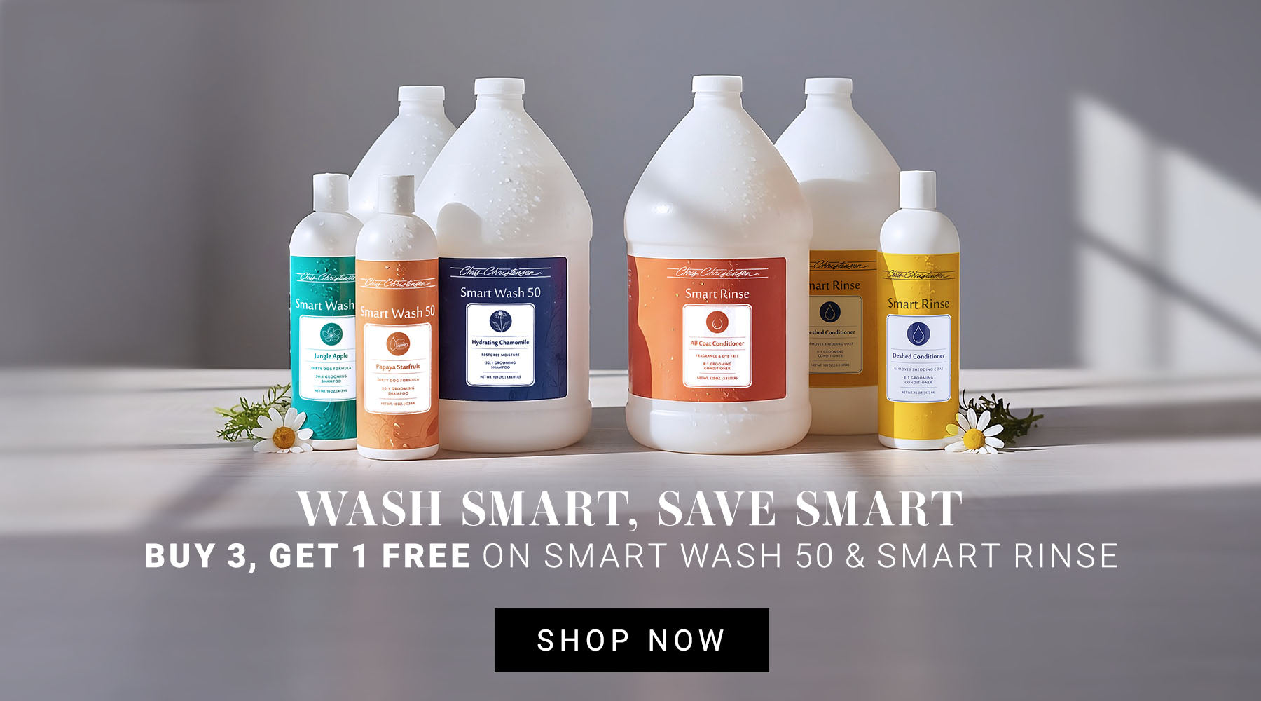 Set of dog grooming shampoo products bottles on a light surface with a gray background