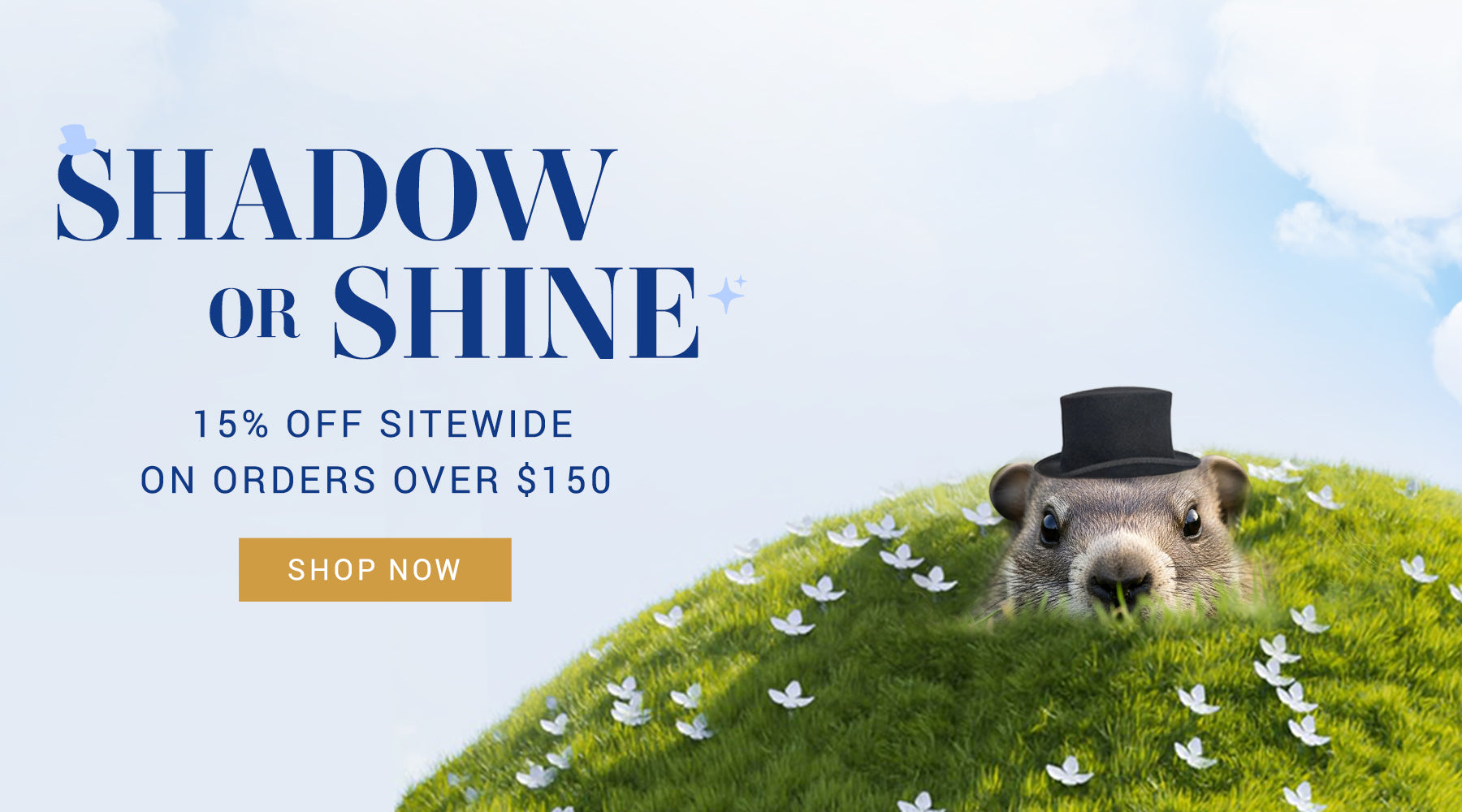 Groundhog wearing a top hat on a grassy patch with promotional text overlay