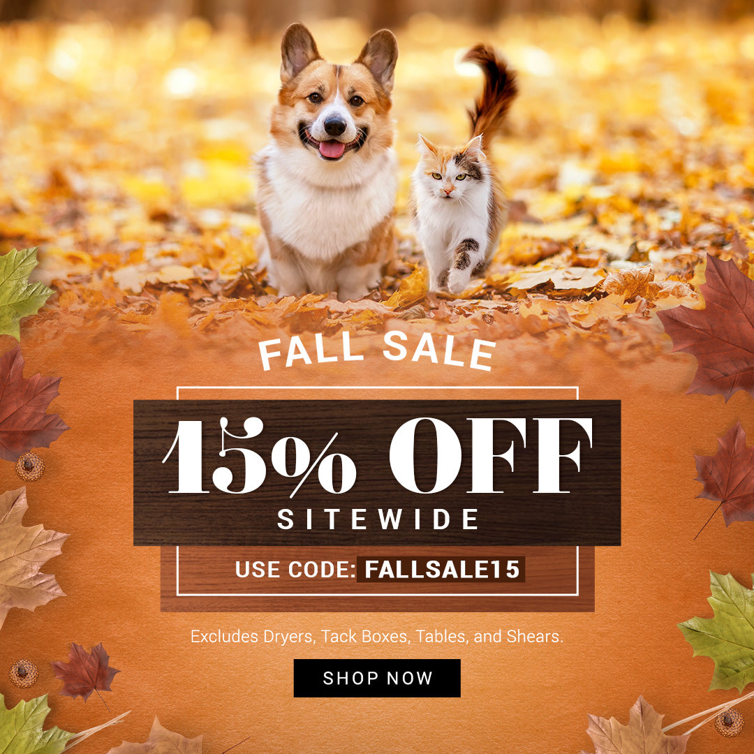 A promotional fall sale graphic featuring a corgi and a cat walking through orange autumn leaves outdoors. Large text reads 'FALL SALE', '15% OFF SITEWIDE', 'USE CODE: FALLSALE15', with a 'SHOP NOW' button and decorative leaves around the edges.