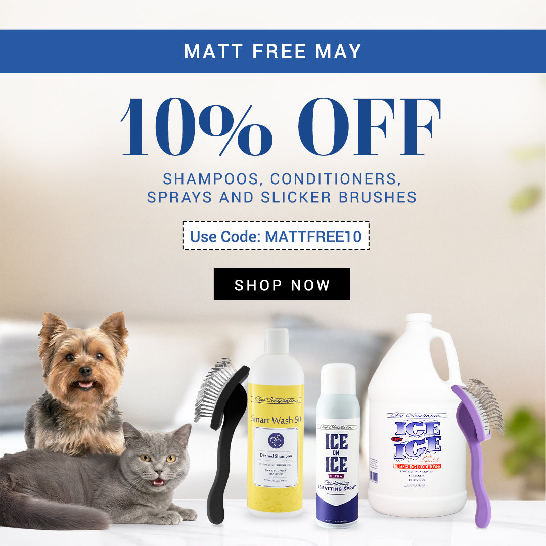 Pet care products with a dog and cat on a couch, and promotional text for 10% off.