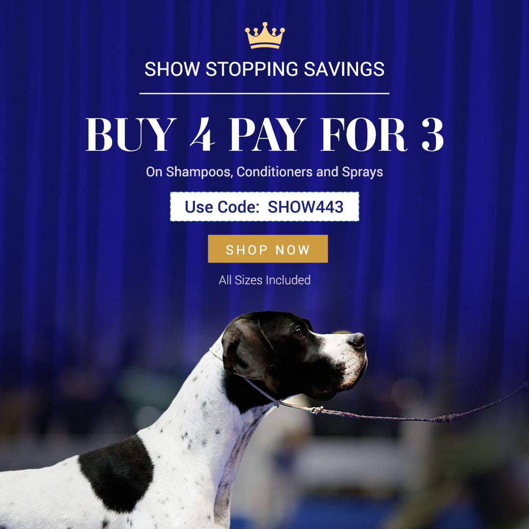 Promotional graphic for a dog show discount with text reading 'SHOW STOPPING SAVINGS', 'BUY 4 PAY FOR 3', 'Use Code: SHOW443', and 'SHOP NOW' over a blue curtain background, with a black-and-white dog in the lower right corner.
