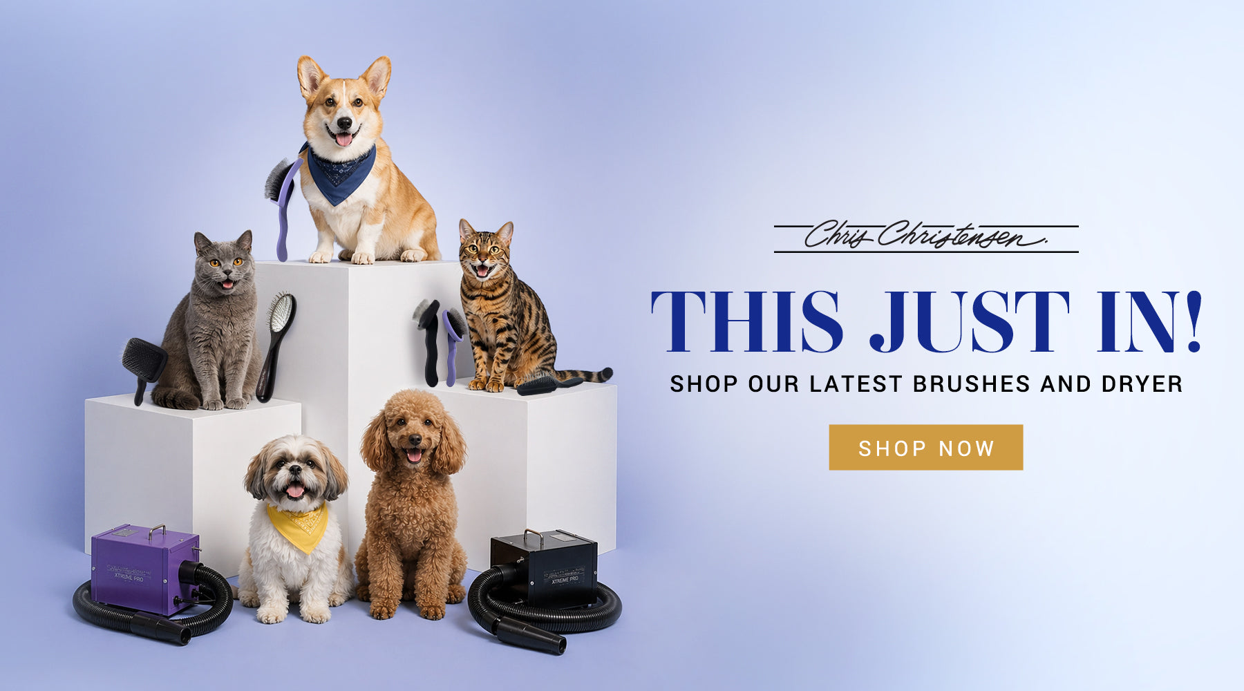 Promotional banner with pets and grooming products on a light blue background