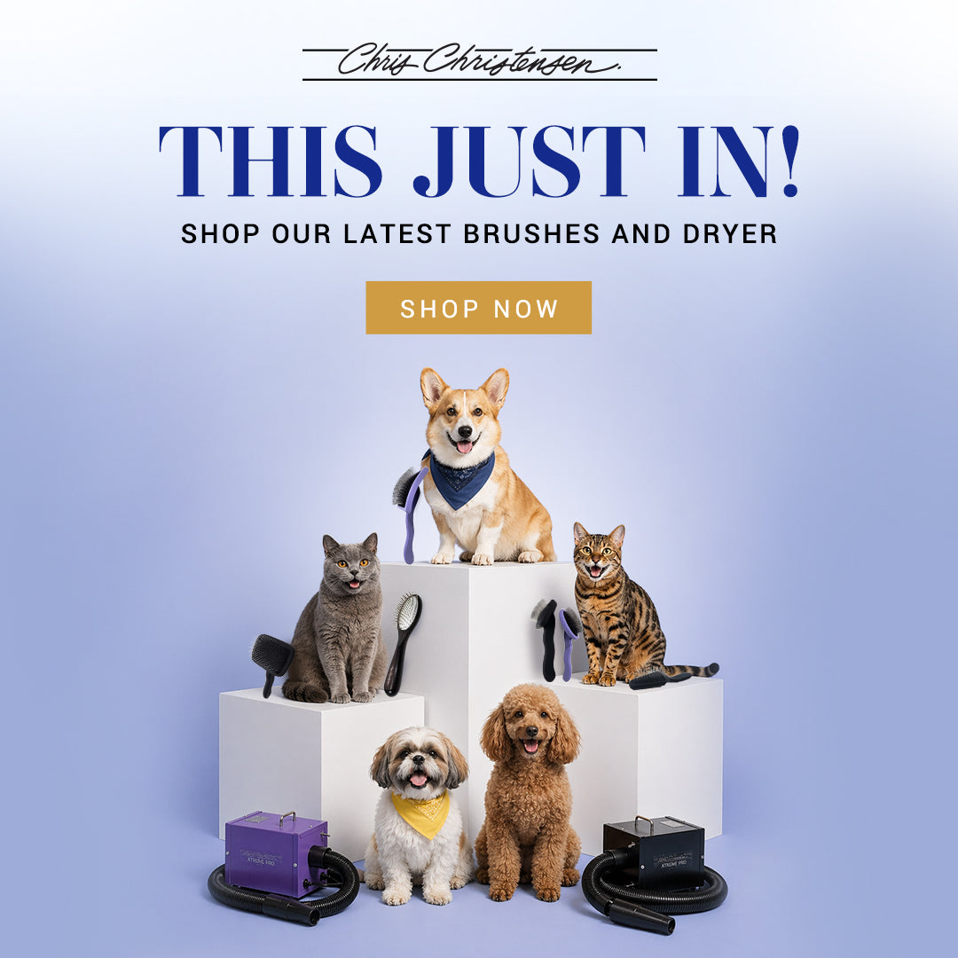 Promotional image with dogs and cats on white blocks, featuring a 'Shop Now' button for pet grooming products.