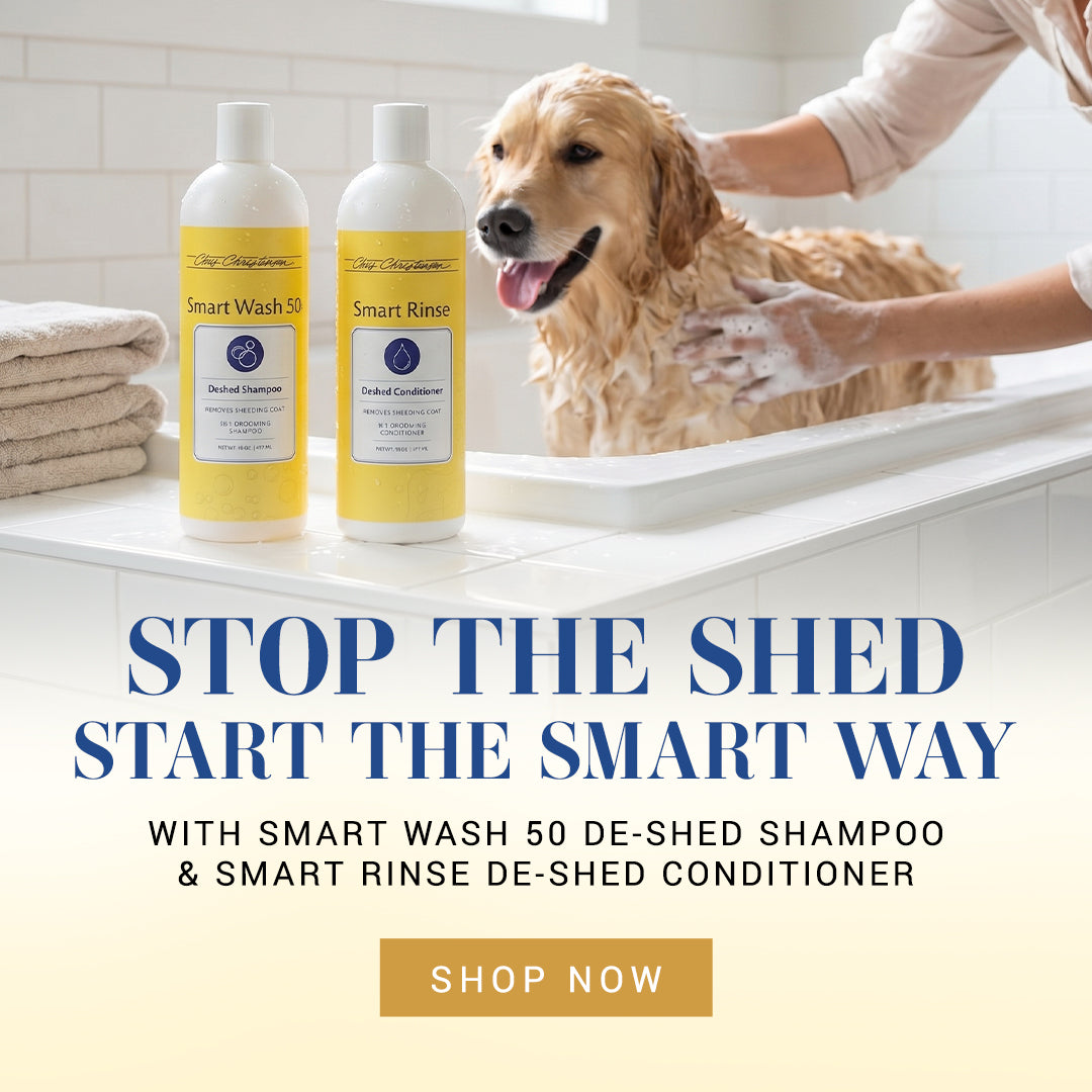 Dog being bathed with Smart Wash 50 and Smart Rinse de-shed products on a white surface.