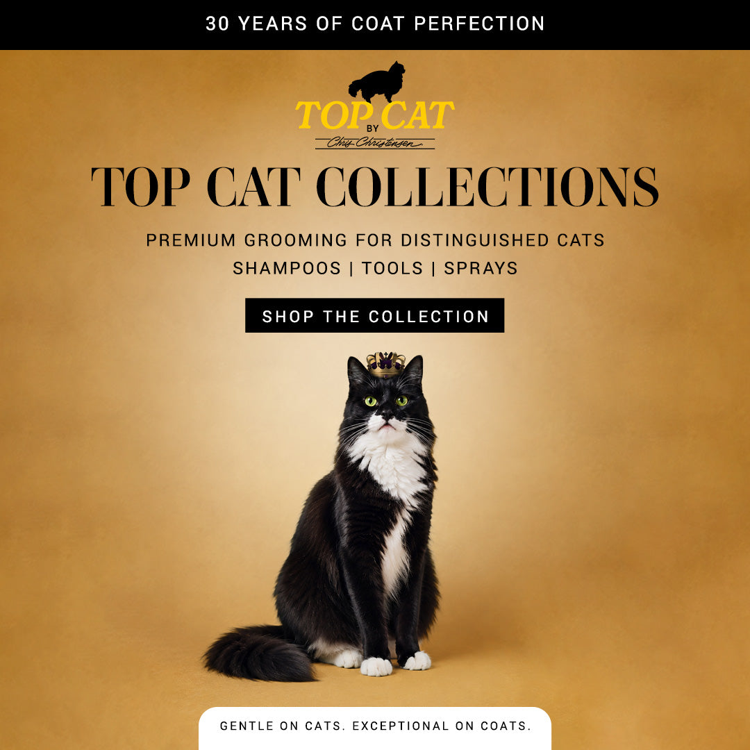 Advertisement for Top Cat Collections with a black and white cat wearing a crown on a gold background.