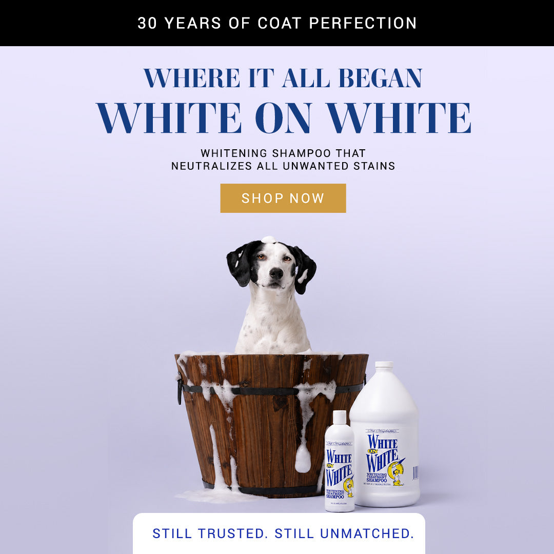Dog in a wooden tub with White on White shampoo bottles on a light purple background