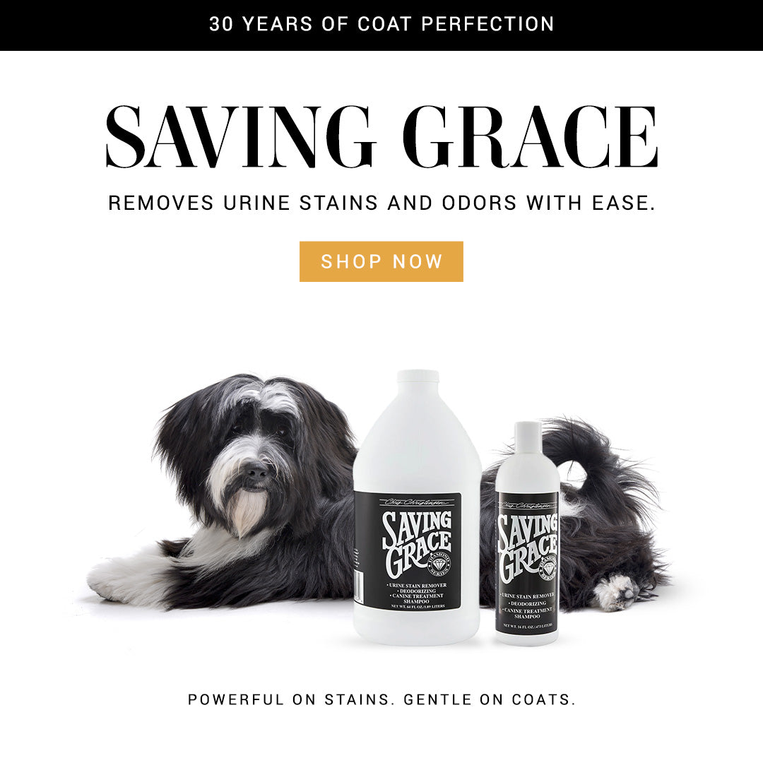 Saving Grace pet stain remover with dog and product bottles on a white background