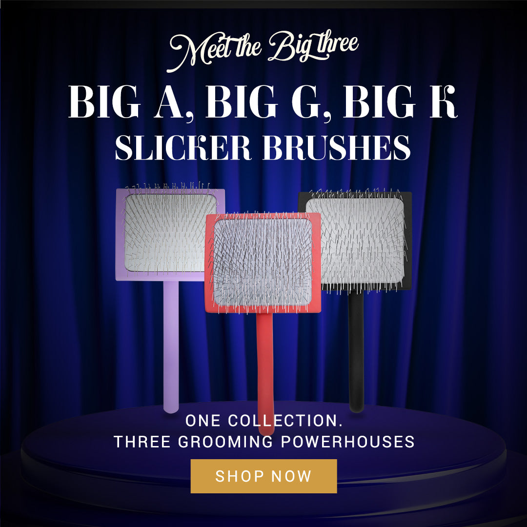 Promotional graphic for three slicker brushes labeled Big A, Big G, and Big K, shown against a dark blue curtain background with text reading 'Meet the Big three' and 'One collection. Three grooming powerhouses.