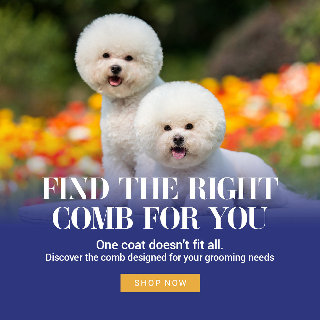 Promotional graphic featuring two small white dogs in front of a blurred flower garden, with large text reading 'FIND THE RIGHT COMB FOR YOU,' smaller text about coat fit and grooming needs, and a yellow 'SHOP NOW' button on a dark blue lower section.