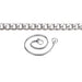 Champagne Flat Link Snake Chain Show Collars
