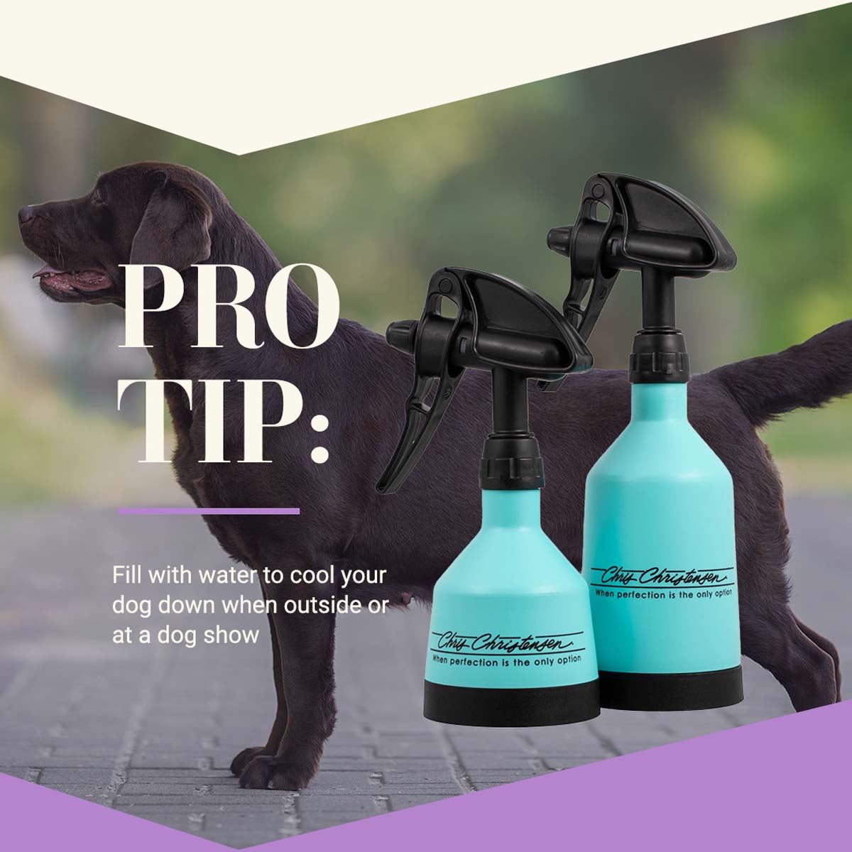 Pro Tip: fill with water to cool your dog down when outside or at a dog show.
