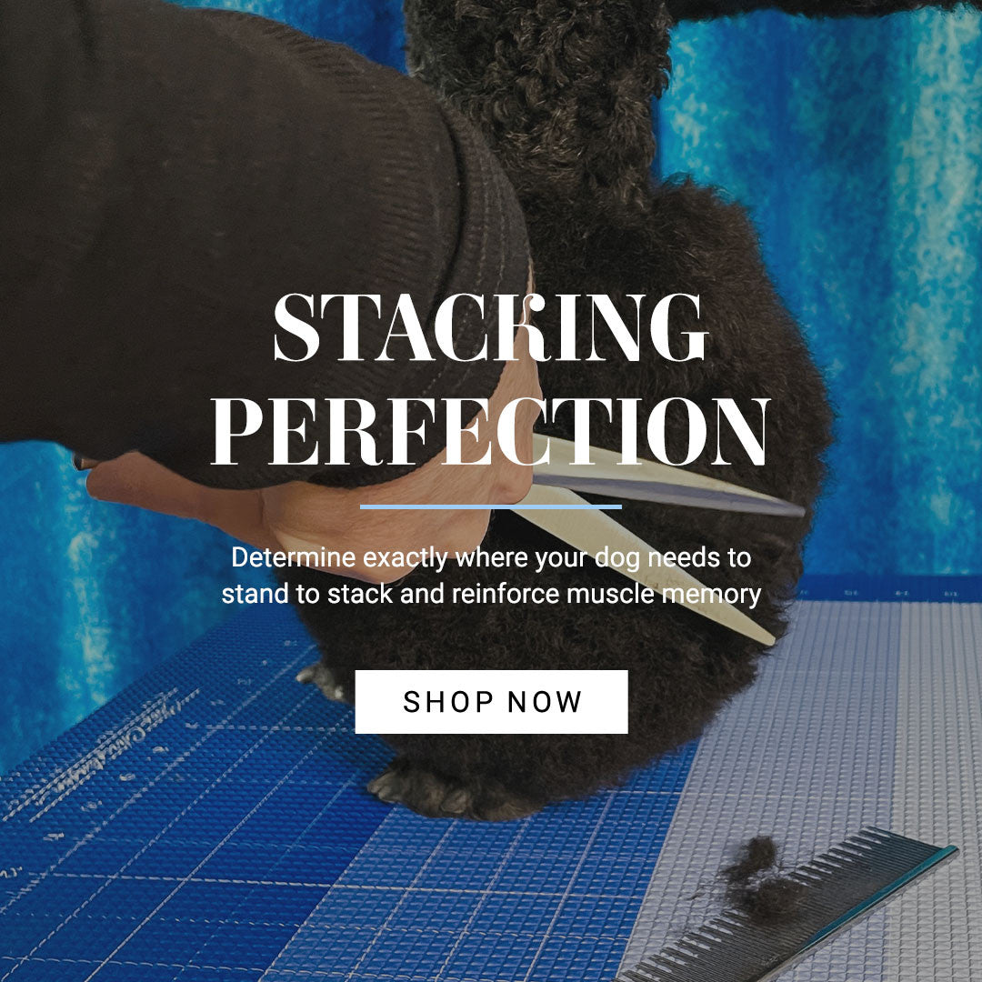 Stacking perfection: determine exactly where your dog needs to stand to stack and reinforce muscle memory. 