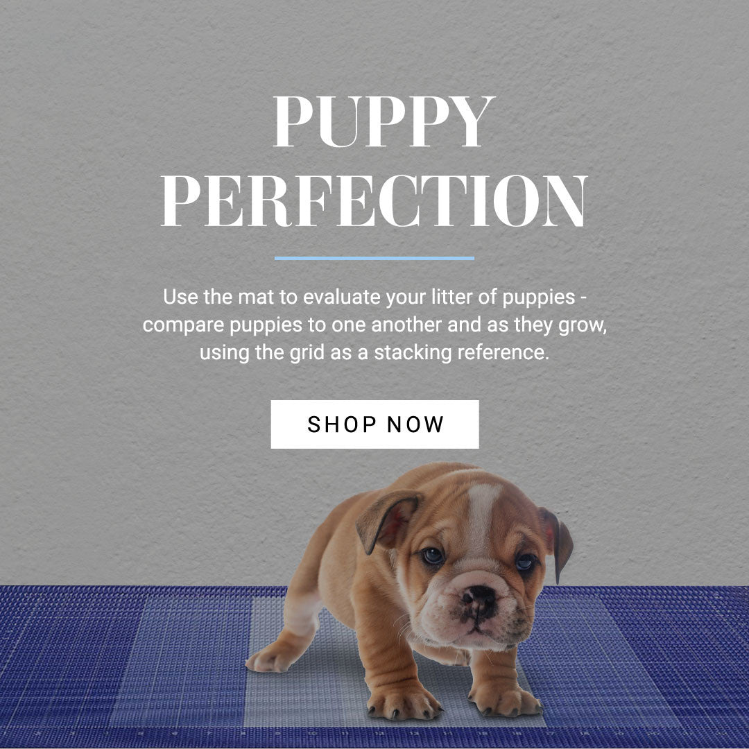 Puppy perfection: use the mat to evaluate your litter of puppies - compare puppies to one another and as they grow, using the the grid as a stacking reference. 