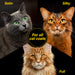 For all cat coats - satin, silky, and full.