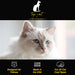 Why Chris Christensen Top Cat? Designed for Felines, made in the USA, and for all cat coat types.