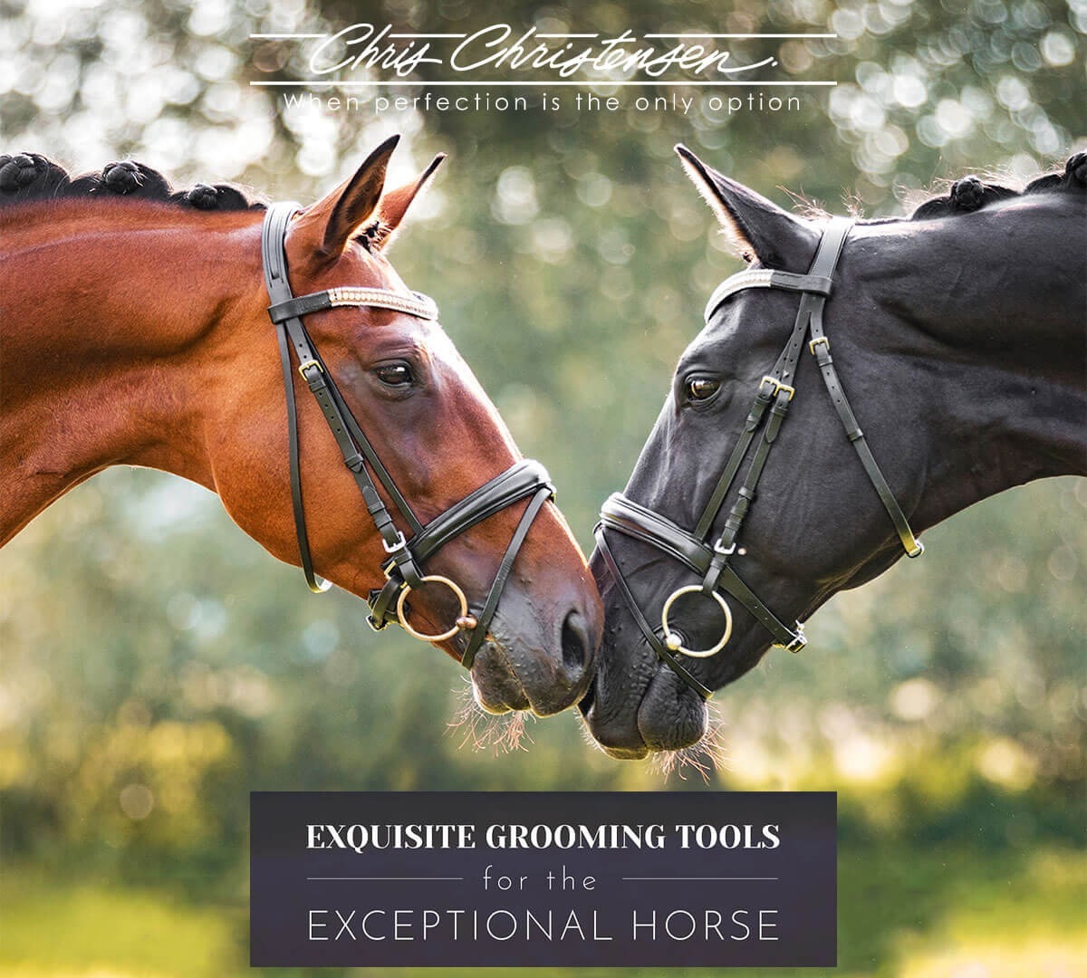 Equine Collection