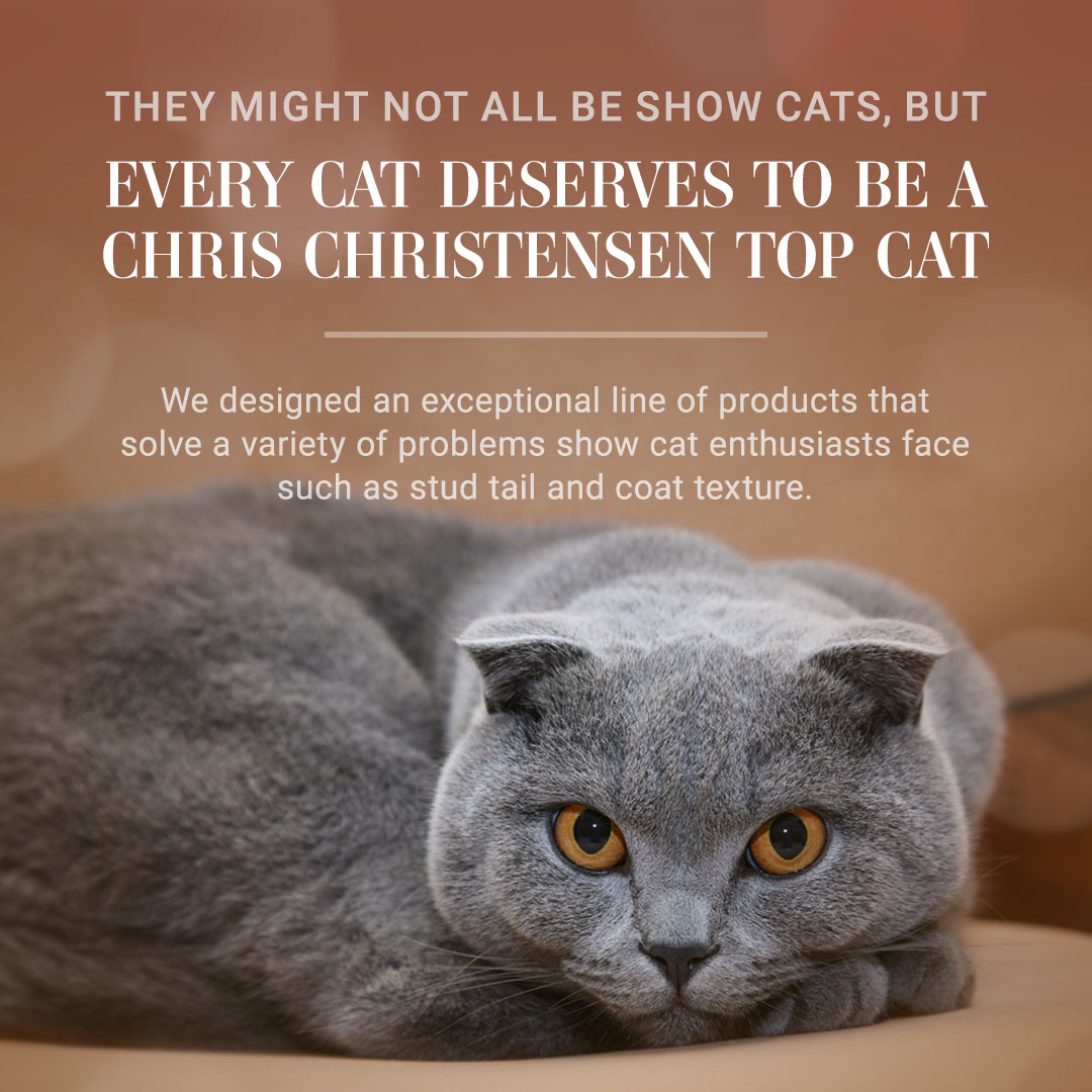 Chris Christensen Top Cat Collection