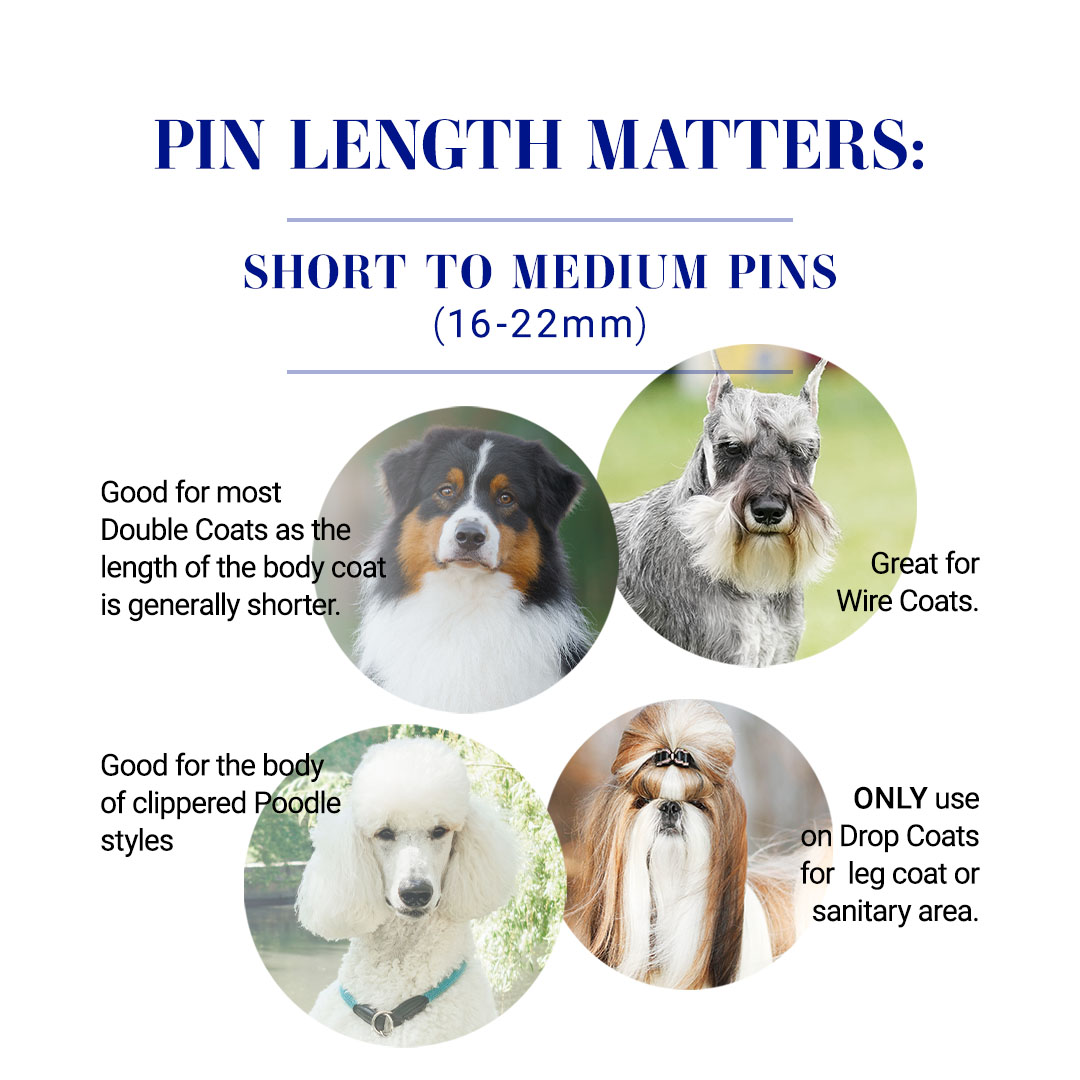 Why Pin Length Matters, choosing the pin brush for short/medium coats