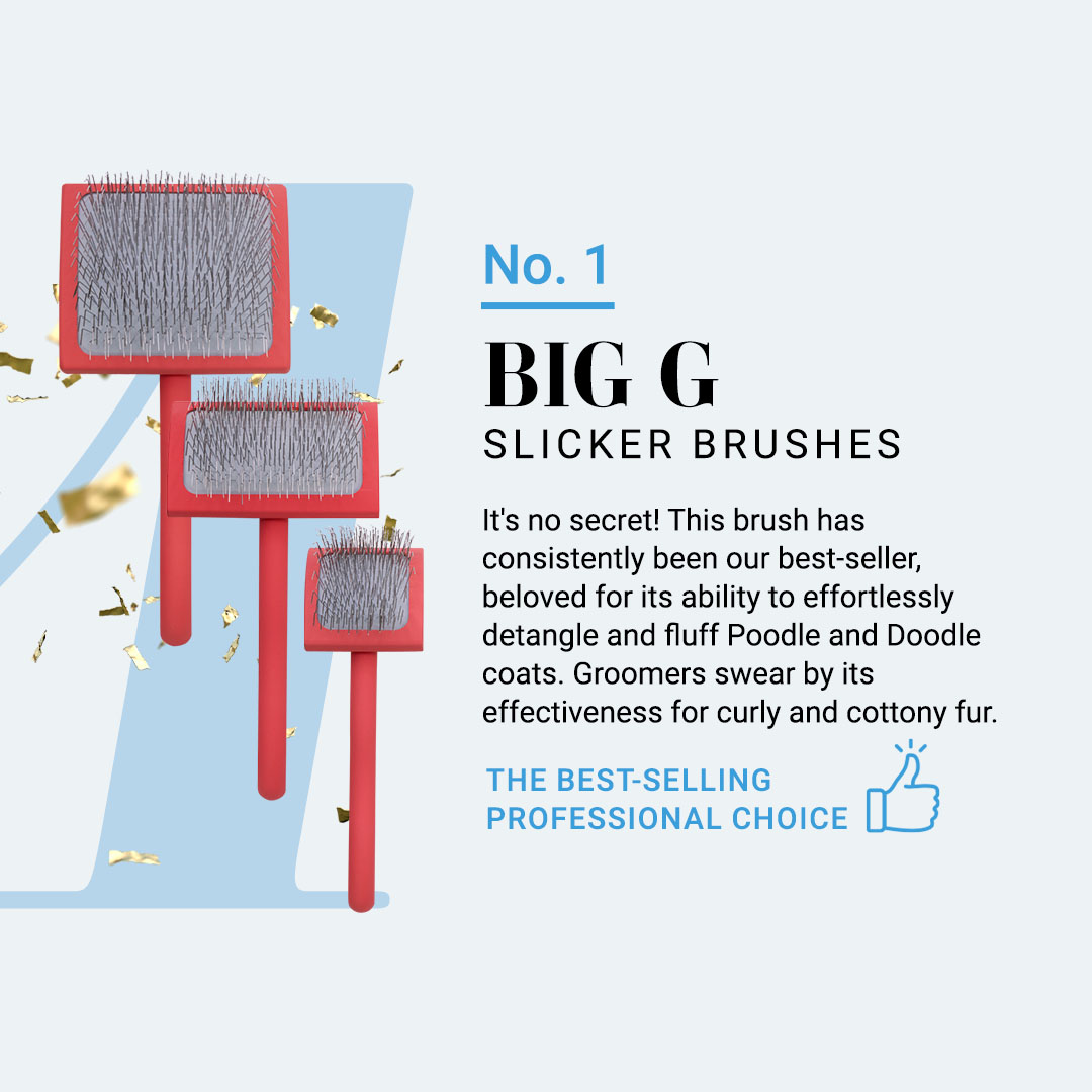 #1 Chris Christensen Big G Slicker Brush - The Best-selling Professional Choice